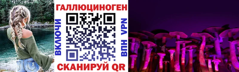 где купить наркотик  Минусинск  Псилоцибиновые грибы Magic Shrooms 